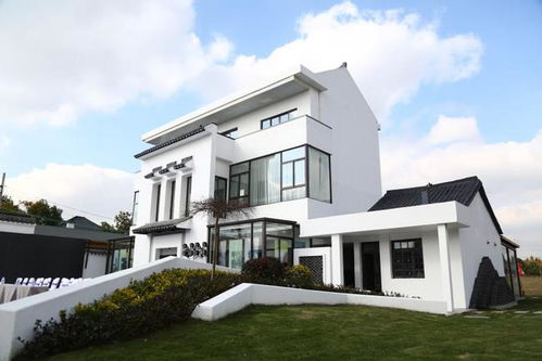 上海影視取景地再添新篇，專業(yè)攝制服務(wù)為鄉(xiāng)村振興注入文旅新動(dòng)能